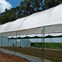 Steel greenhouses by Grekkon Limited