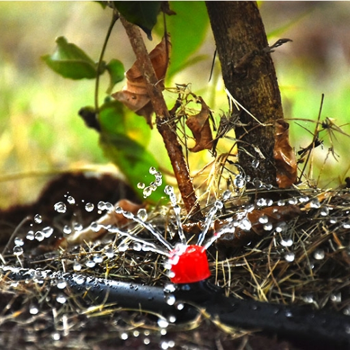grekkon button drip irrigation