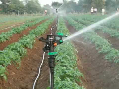 Water sprinklers irrigation