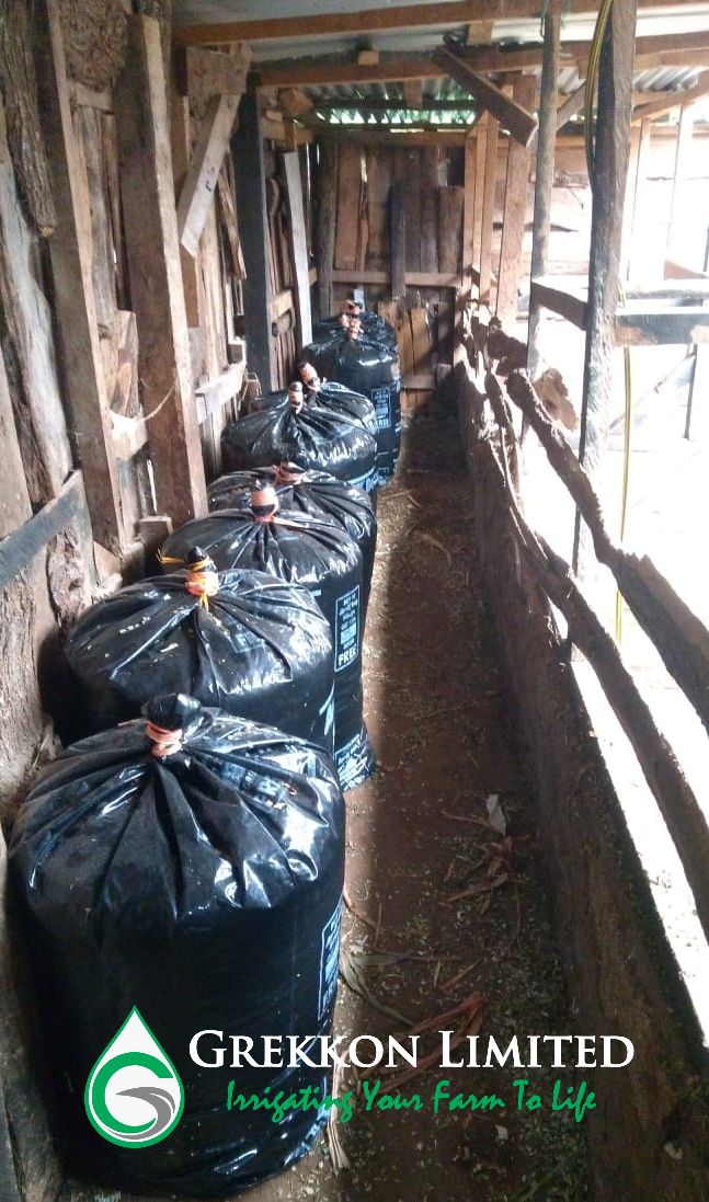 Silage bags by Grekkon Limited in a dairy farm