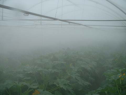 Fogging System for Greenhouses