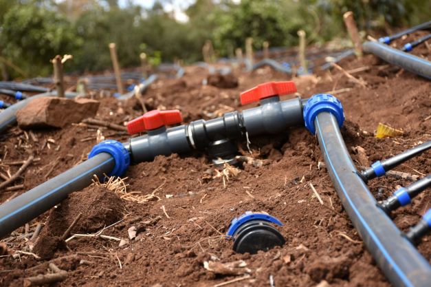 Steps to install drip irrigation