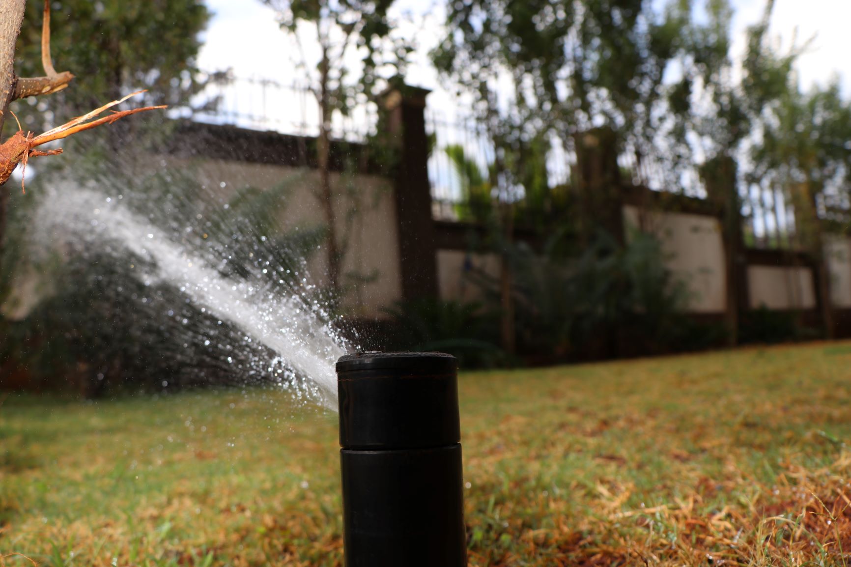 Steps To Irrigate Your Lawn