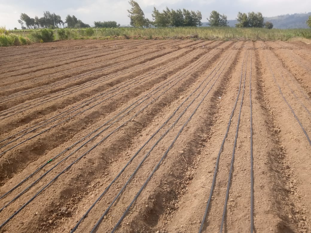 Half-acre drip irrigation kits by Grekkon Limited