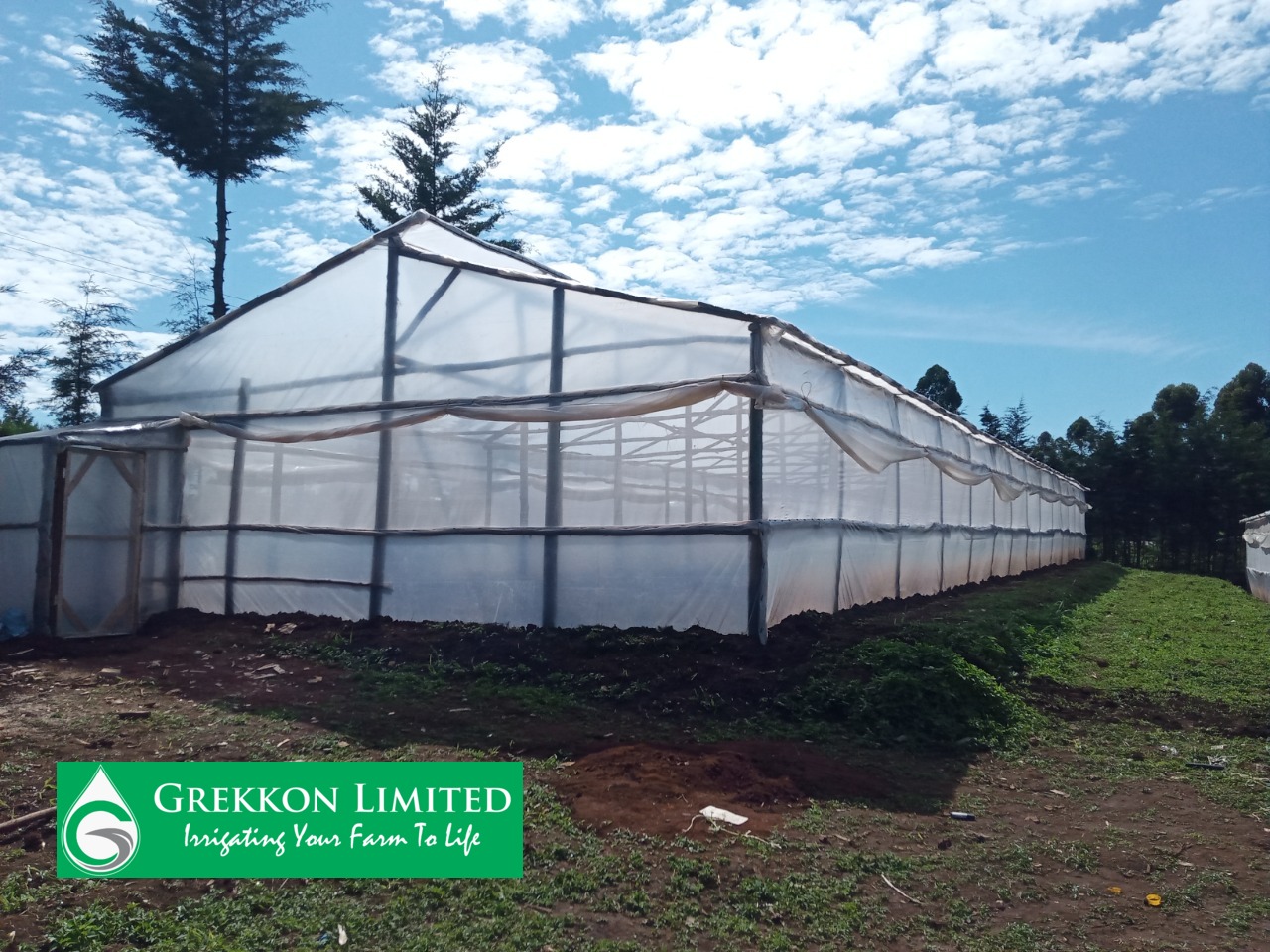 Greenhouse cost and sizes in Kenya
