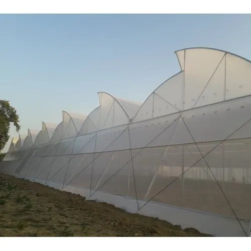 Greenhouse company in Kenya. Co-joined units