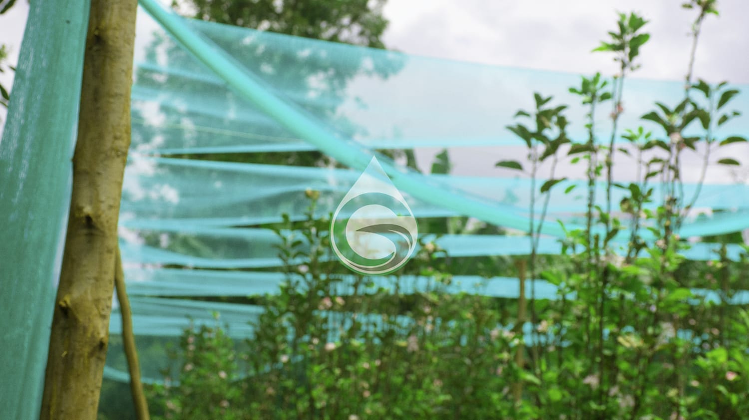 Anti bird nets in Kenya by Grekkon Limited